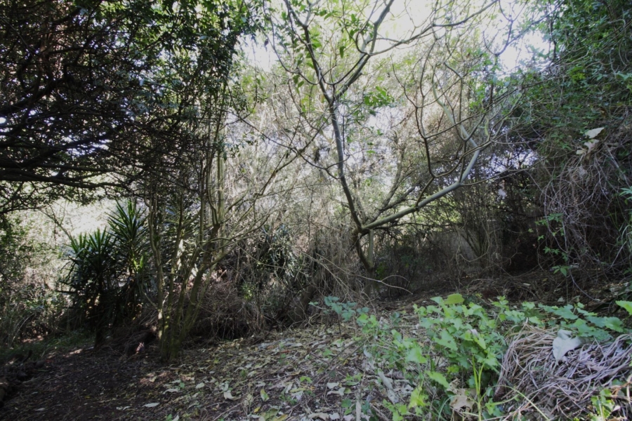 Commercial Property for Sale in Noorsekloof Eastern Cape